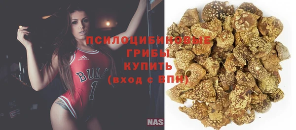 apvp Белокуриха