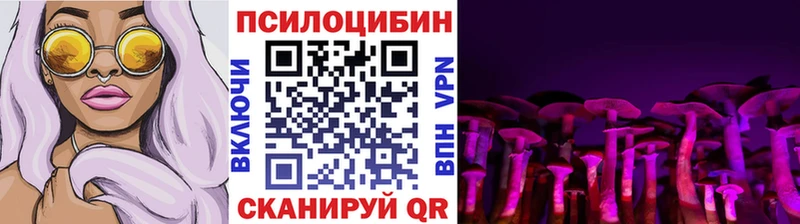 Псилоцибиновые грибы Psilocybine cubensis  Купить закладки  Горно-Алтайск 