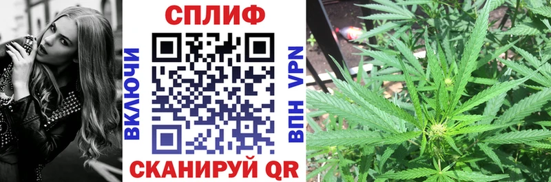 Шишки марихуана Amnesia Купить закладки Горно-Алтайск